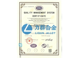 ISO9000 英文版_1